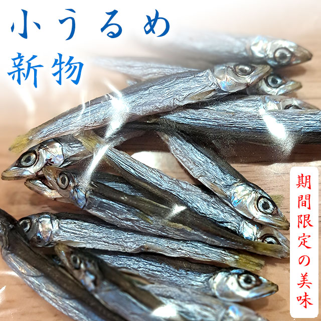 【期間限定】「新物」小ウルメ（こうるめ）丸干し（上干）・特撰上物・500g～