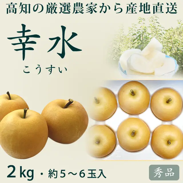 幸水（こうすい）梨・2kg