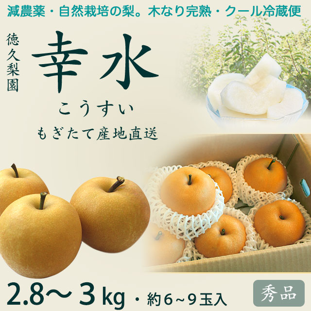 【木なり完熟・もぎたてクール便】幸水梨（こうすいなし）・秀品・約2.8～3kg・6～9玉入り