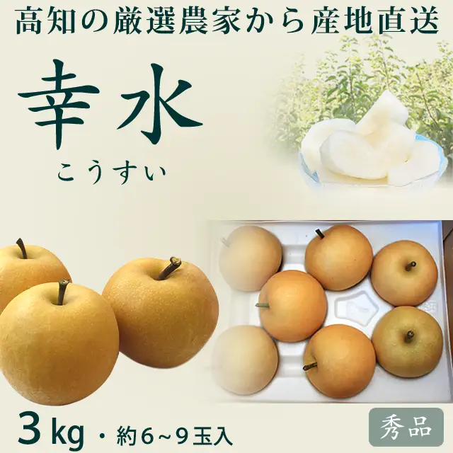 幸水（こうすい）梨・3kg
