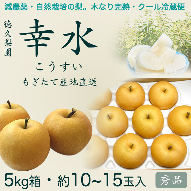 【木なり完熟・もぎたてクール便】幸水（こうすい）梨・秀品5kg・10～15玉入り・厳選農家の産地直送品【夏ギフトにもおすすめ】