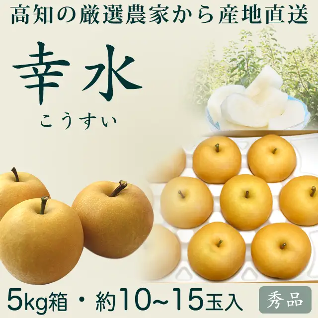 幸水（こうすい）梨・秀品5kg・10～15玉入り・厳選農家のもぎたて・産地直送