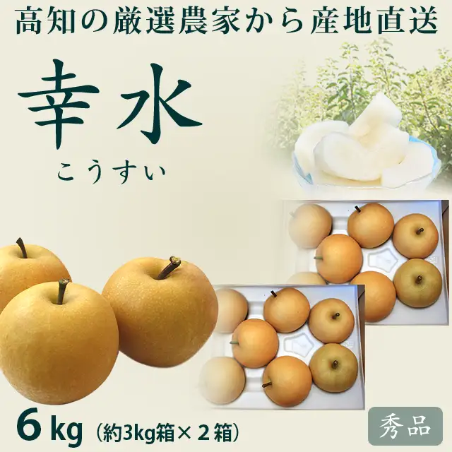 幸水（こうすい）3㎏×2箱（計6kg）