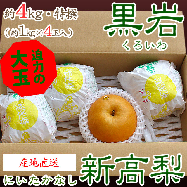 【産地直送】黒岩（くろいわ）産の新高梨（にいたかなし）・高知県佐川町黒岩梨出荷組合・梨農家厳選品・秀品・約4kg・4玉入り【送料無料（関東～九州）】