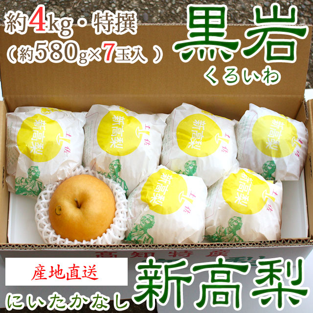 【産地直送】黒岩（くろいわ）産の新高梨（にいたかなし）・高知県佐川町黒岩梨出荷組合・梨農家厳選品・秀品・約4kg・7玉入り【送料無料（関東～九州）】