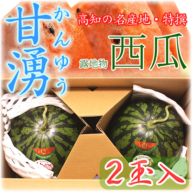 高知県産・特撰高級西瓜（スイカ）・甘湧（かんゆう）・露地物（トンネル栽培含む）・秀品・L～3Lサイズ・2玉