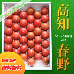 高知県春野（はるの）・諸木（もろぎ）産フルーツトマト・2kg・特選品（30～40玉前後入り） 【送料無料】