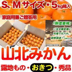 生産者厳選・山北みかん・露地もの・興津（おきつ）・秀品（家庭用兼ご贈答用＝上級品）・5kg箱・S～Mサイズ【送料無料（関東～九州）】