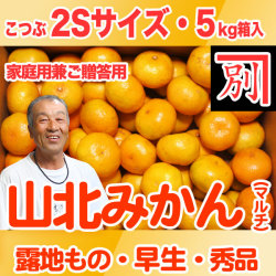 【産地直送】別役さんちの山北マルチ栽培みかん・露地もの・早生・秀品（家庭用兼ご贈答用）・5kg・小粒2Sサイズ【送料無料（関東～九州）】
