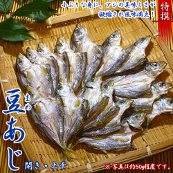 豆アジ開き 上干シバアジ100g 土佐の干物
