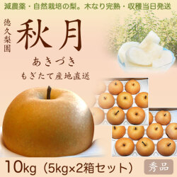 秋月梨（あきづきなし）秀品5kg×2箱セット【産地直送】