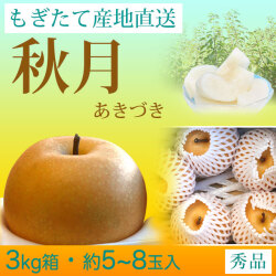 秋月（あきづき）梨（なし）・秀品・3kg・約5～8玉入り・厳選農家のもぎたて・産地直送