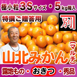 【送料無料】別役さんちの山北マルチ栽培みかん・露地物・興津（おきつ）・秀品（特撰ご贈答用）・5kg・極小粒3Sサイズ【産地直送】