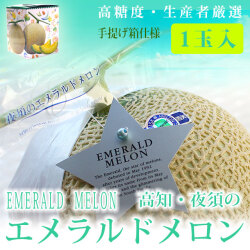 高知・夜須エメラルドメロン（秀品）・特撰ご贈答用・１玉（手提げ箱仕様・包装不可）【送料無料（関東～九州）】