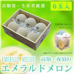 高知・夜須のエメラルドメロン（秀品マスクメロン）・生産者厳選・特選ご贈答クラス・６玉セット【送料無料（関東～九州）】