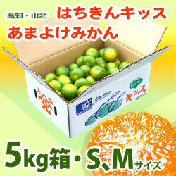 雨よけみかん・はちきんキッス（高知・山北みかん・あまよけ）光センサー選果・5kg箱・選べるS、Mサイズ【送料無料】