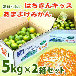 雨よけみかん・はちきんキッス・高知・山北・光センサー選果・5kg×2箱セット【送料無料】