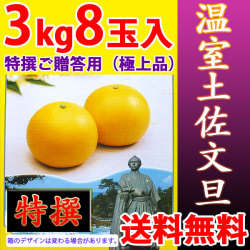 温室土佐文旦（ハウス栽培品）・特撰ご贈答用（極上品）・3kg・8玉入【送料無料】