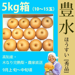 豊水 梨 （ほうすい なし）・秀品・5kg・10～15玉入り・徳久梨園の木なり完熟【産地直送】