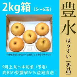 豊水（ほうすい）梨（なし）・秀品・2kg・5～6玉・厳選農家の産地直送