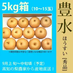 豊水（ほうすい）梨（なし）・秀品・5kg・10～15玉・厳選農家の産地直送