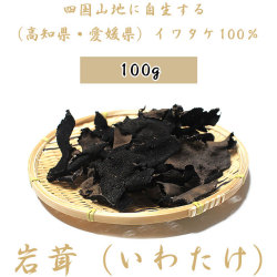 【送料無料】岩茸（いわたけ）・四国山地・石鎚山系などのイワタケ（高知県産・愛媛県産）・100g