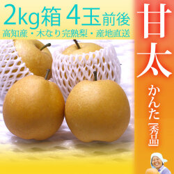 甘太（かんた）梨（なし）・秀品・2kg・4玉入・木なり完熟・【産地直送】