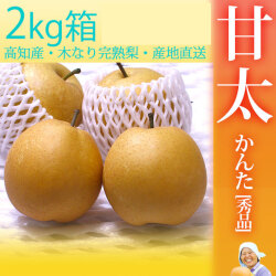 甘太（かんた）梨（なし）・秀品・2kg・4～6玉前後入・厳選農家のもぎたて・産地直送