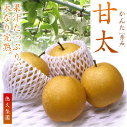 甘太（かんた）梨