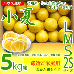 みんなの土佐小夏・厳選ご家庭用・大箱（5kg）・2S、S、M、Lサイズ・高知県産・ハウス栽培の小夏