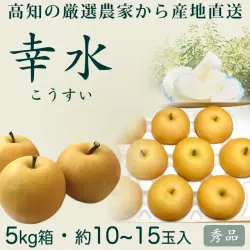 幸水（こうすい）梨・秀品5kg・10～15玉入り・厳選農家のもぎたて・産地直送