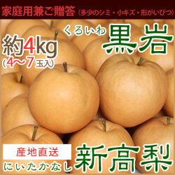【産地直送】黒岩（くろいわ）産の新高梨（にいたかなし）・家庭用または気軽なプレゼント用・約4kg・4～7玉入り