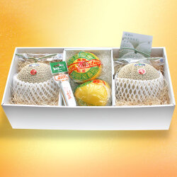 高知・夜須エメラルドメロン（特撰ご贈答用）と温室土佐文旦（特選品）・各2玉セット