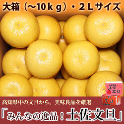 みんなの逸品！土佐文旦（とさぶんたん）・大箱（～10kg）・2Lサイズ・高知県内から味良し厳選品をお届け