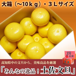 みんなの逸品！土佐文旦（とさぶんたん）・大箱（～10kg）・3Lサイズ・高知県内から味良し厳選品をお届け