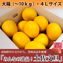 みんなの逸品！土佐文旦（とさぶんたん）・大箱（～10kg）・4Lサイズ・高知県内から味良し厳選品をお届け