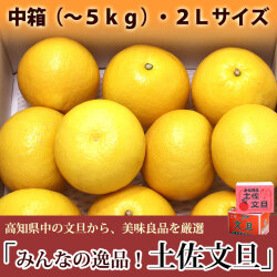 みんなの逸品！土佐文旦（とさぶんたん）・中箱（～5kg）・2Lサイズ・高知県内から味良し厳選品をお届け