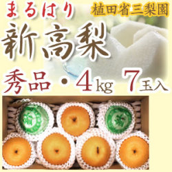 【産地直送】針木産の新高梨（にいたかなし）・高知市針木梨組合（まるはり）・秀品（ご贈答用）・約4kg・7玉入【送料無料】