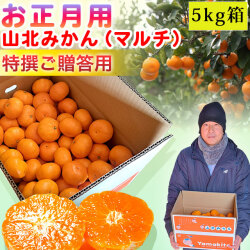 山北のお正月用みかん・別役さん産地直送・5kg箱入り・赤秀品（特選クラス）・選べる2S、S、M、Lサイズ