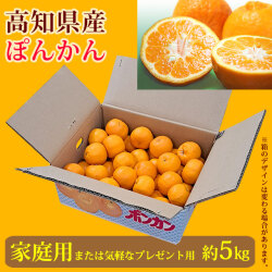 ぽんかん（味よし厳選品）家庭用兼ご贈答（気軽なプレゼント用）・約5kg箱入り【送料無料（関東～九州）】