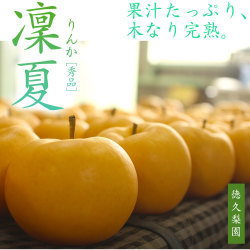 凜夏(りんか) 梨