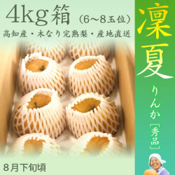 【もぎたてクール便】凜夏(りんか)梨（なし）・秀品・4kg・6玉～10玉前後入・厳選農家の産地直送