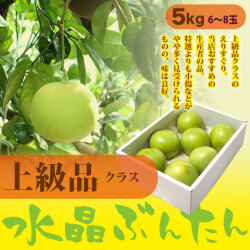 水晶文旦（高知県産）・上級品（家庭用兼ご贈答用）・5kg箱・特大サイズ・6～8玉【送料無料（関東～九州）】
