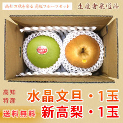 高知県産・新高梨1玉＋水晶文旦1玉・詰め合わせ・フルーツセット