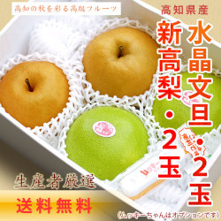 【送料無料】高知県産・新高梨２玉＋水晶文旦２玉・大玉詰め合わせ