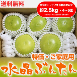 水晶文旦（高知県産）・特価ご家庭用・約2.5kg・（中玉以上・4～5玉）【送料無料】