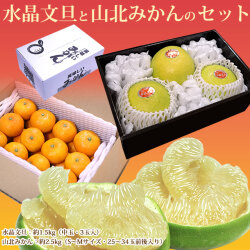 水晶文旦と山北みかんのセット・A【送料無料（関東～九州）】