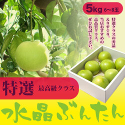 水晶文旦（大玉～特大サイズ）・特選ご贈答用・5kg箱・6～8玉【送料無料（関東～九州）】