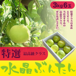 水晶文旦（高知県産）・特選ご贈答用・3kg箱・6玉入り【送料無料（関東～九州）】