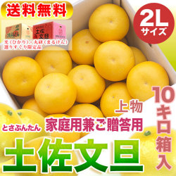 高知県産・土佐文旦・まるけん（丸研）または光（ひかり）ブランドの良品限定・家庭用兼ご贈答用（上物）・大箱（～10kg）・2Lサイズ【送料無料】